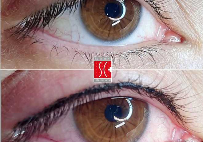 Upper or Lower Eyeliner